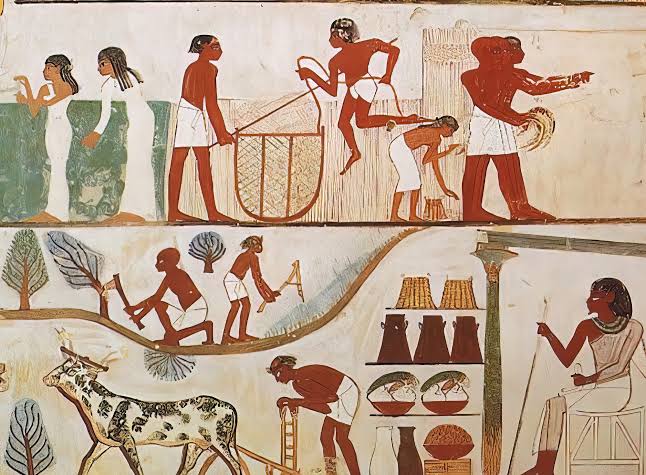 Ancient Egyptian Daily Life