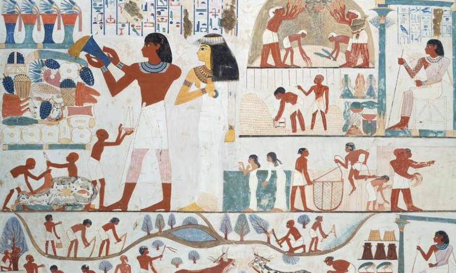 Agricultural Scenes: Tomb of Nakht (TT52), Luxor
